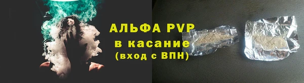 шишки Нея
