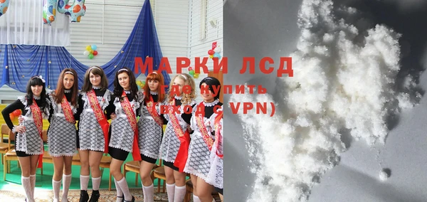 шишки Нея