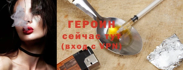 гашик Болотное