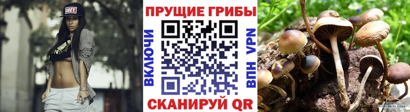 Псилоцибиновые грибы Psilocybine cubensis  shop формула  Николаевск 